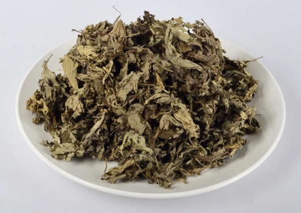 “世”說新語｜從“三年之艾”感悟中醫治未病的養生之道