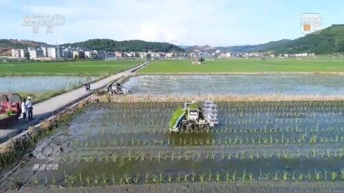 農業：走上高質量發展之路