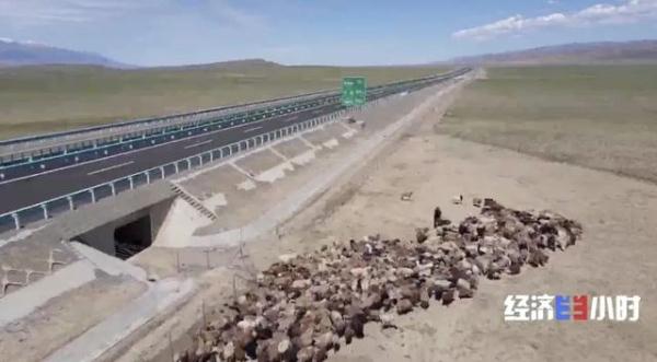 超級硬核!穿越戈壁無人區,這裡修起2800多公里絕美天路 超級硬核!穿越戈壁無人區,這裡修起2800多公里絕美天路