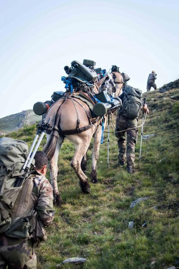 “悍馬”和騾馬並存，畜力不代表落後，軍隊運輸多樣化因地制宜
