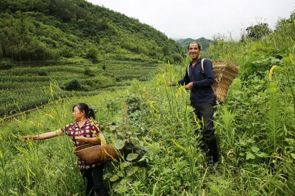 60後父母最喜歡的教育方式:打壓式教育,30年過去,弊端顯露了 60後父母最喜歡的教育方式:打壓式教育,30年過去,弊端顯露了