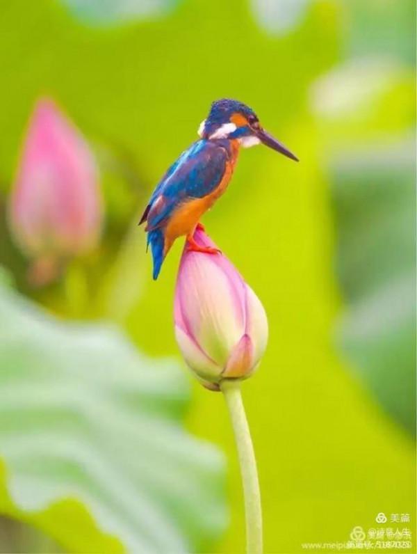 走在古城秋色裡