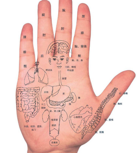 穴位療法為什麼能夠治病？到底管用嗎？中醫解讀“穴位治病”