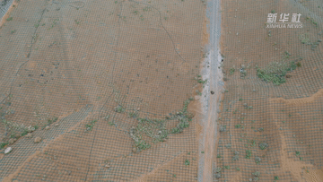 騰格裡沙漠邊緣，有這樣一個“動植物樂園”