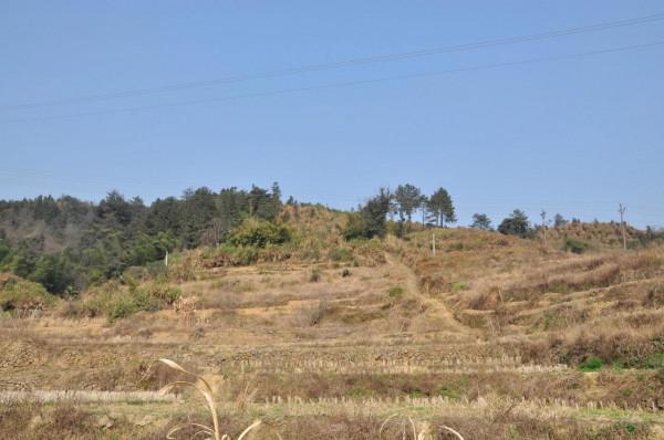 永定探親，故鄉情懷