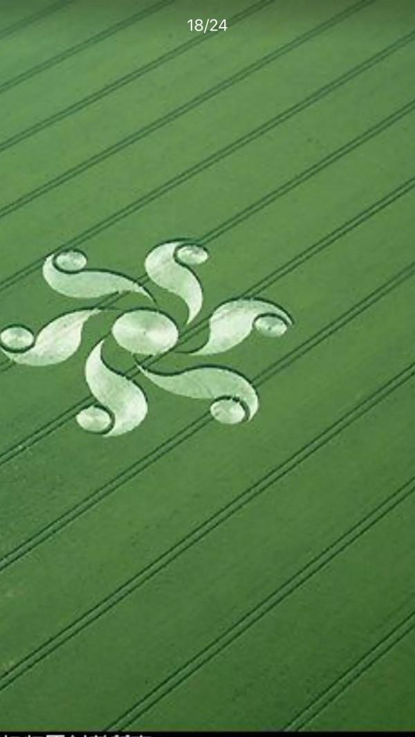 中國還沒有麥田怪圈