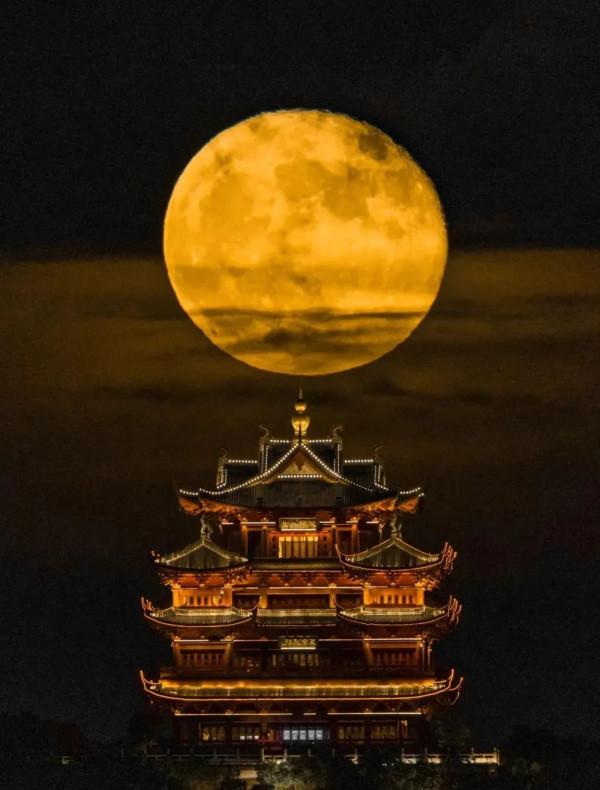 成年人玩得這麼野，小心把命都玩丟了