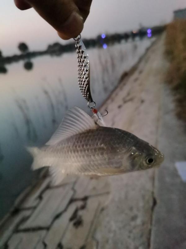 路亞入坑，座標高郵