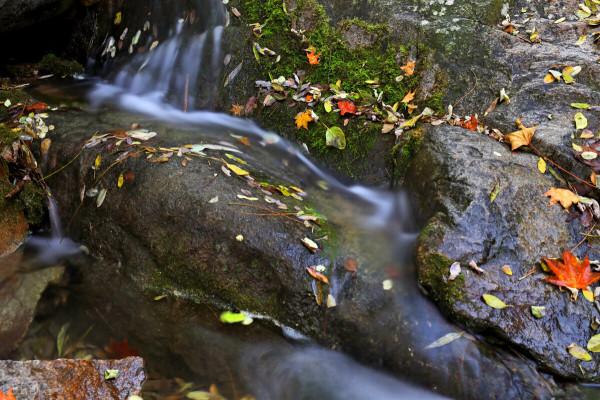 秋意濃濃九如山 秋意濃濃九如山