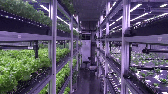 海拔5170米,這樣的待遇他們值得 海拔5170米,這樣的待遇他們值得