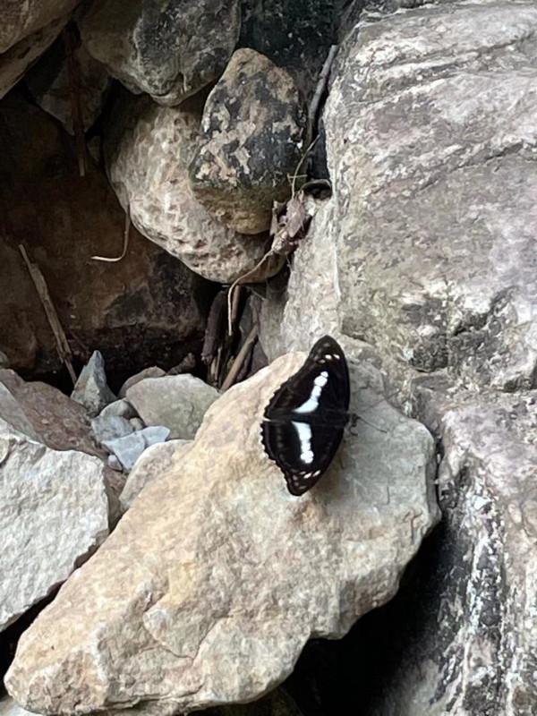 我走進了貴州大山深處的布依族村落,這裡藏著治癒系的秘境寶藏 我走進了貴州大山深處的布依族村落,這裡藏著治癒系的秘境寶藏