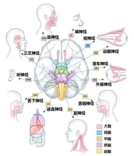 都說‘運動’能解決一切“矯情” 都說‘運動’能解決一切“矯情”