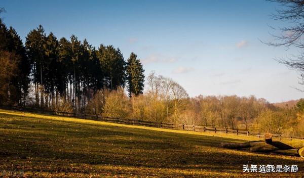 中國的心態學,你看過《菜根譚》嗎? 中國的心態學,你看過《菜根譚》嗎?