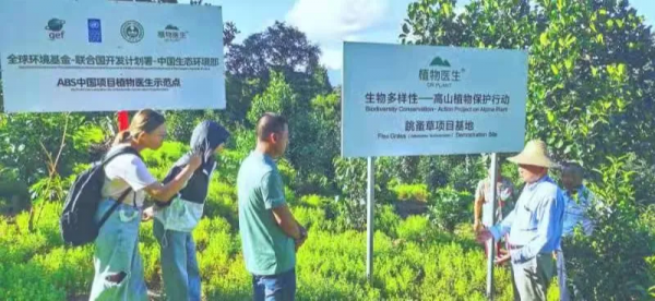 “羊肚菌自由”背後，我國生物資源利用和可持續發展成果顯著
