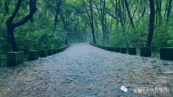 這十條來八公山的理由，看完你還不心動嗎？