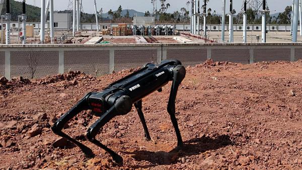 小米鐵蛋迎對手,一隻機器狗賣到30萬,既能當警犬還能搞科研 小米鐵蛋迎對手,一隻機器狗賣到30萬,既能當警犬還能搞科研