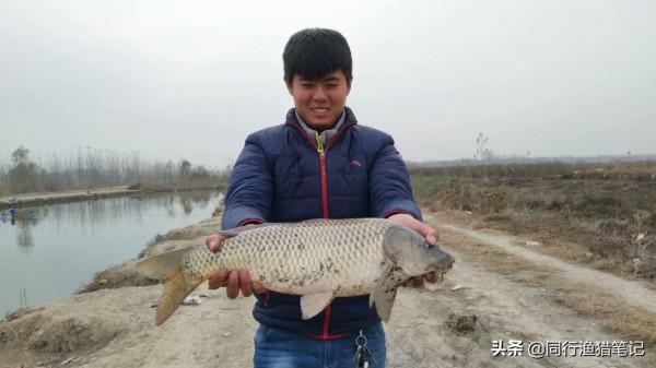 為什麼說精麻團是一款即可坑釣也可野釣鯉魚的輔助良品？