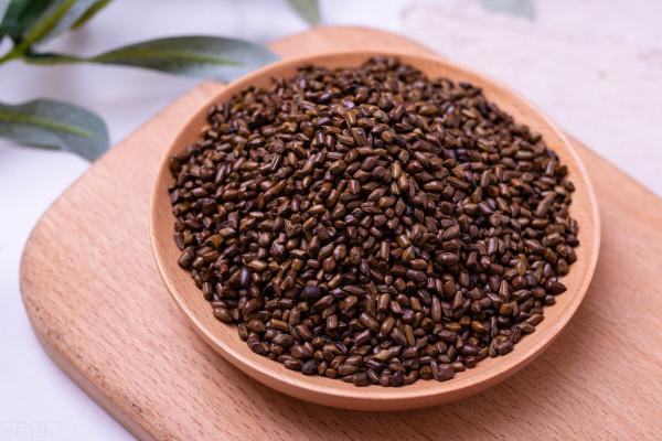 治療便秘的種仁類中藥