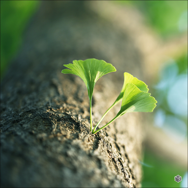 2022樓市購房者預期：保持努力，繼續掙扎