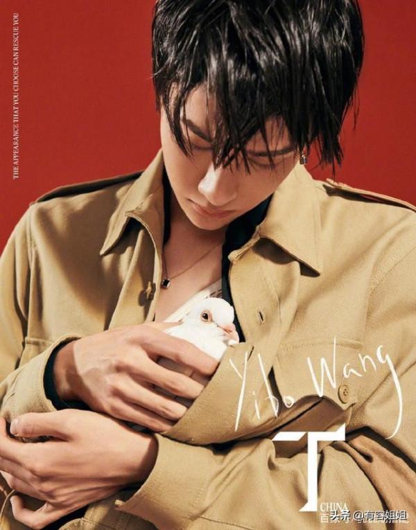 男明星的溫柔與寵溺都給了萌寵,好羨慕 男明星的溫柔與寵溺都給了萌寵,好羨慕