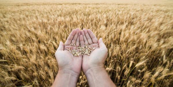 2022,要活得像個莊稼人! 2022,要活得像個莊稼人!