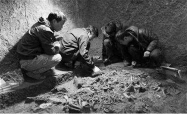 1983年，寧夏發現千年古墓，考古隊挖到一半後塌方，緊急撤離