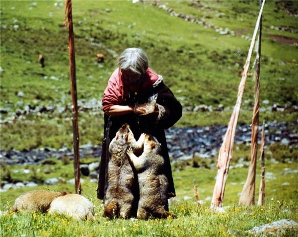 青松城·好享遊 | 這15條路線，值得你踏遍祖國萬千河山