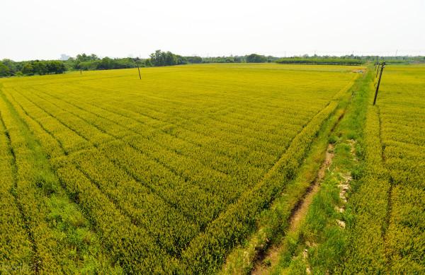 誰說女子不如男——農婦李思羽發家致富故事 誰說女子不如男——農婦李思羽發家致富故事