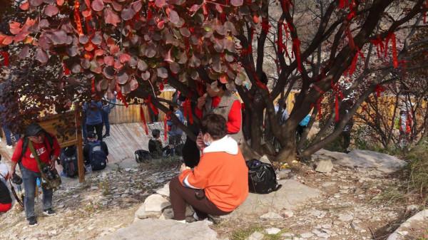 看萬山紅遍,層林盡染(2)——青州天賜山賞紅葉 看萬山紅遍,層林盡染(2)——青州天賜山賞紅葉