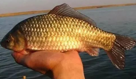 水底地形複雜，試試這三招，再也不糾結怎麼調漂了