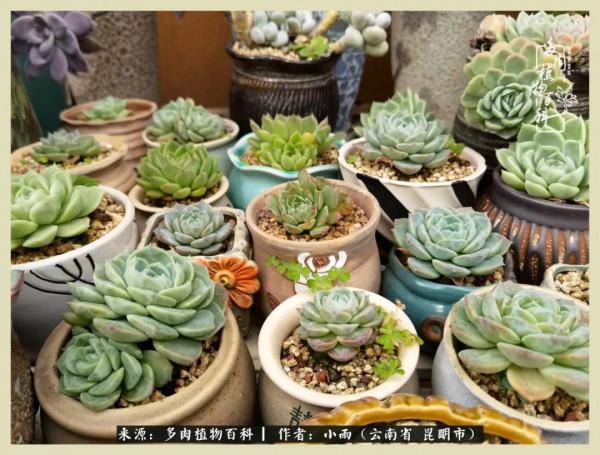 用一份熱愛，溫暖一段時光