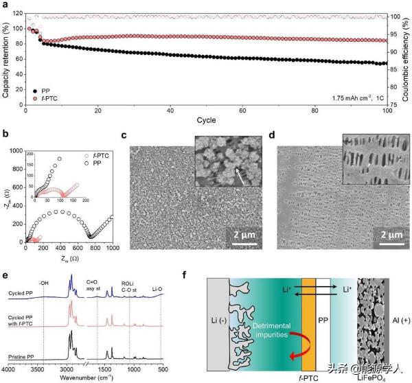 EnSM&colon;雙功能隔膜設計實現高吸液率和鋰離子遷移數