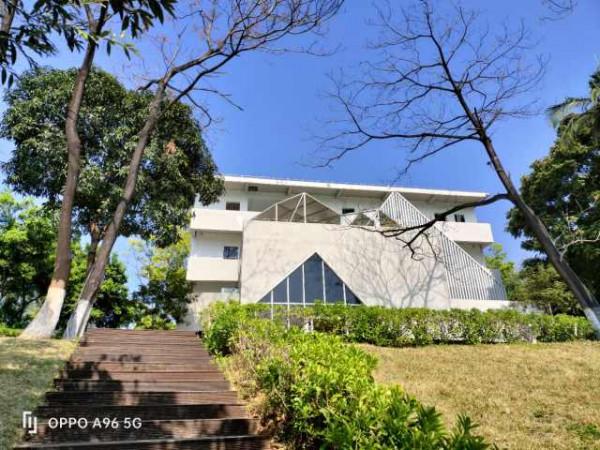 輕快流暢顏值不拖沓 OPPO A96 5G體驗評測