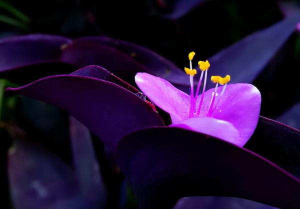 看清一個人,三件事就夠了 看清一個人,三件事就夠了