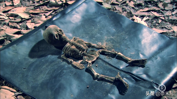 “天眼少女”堪稱童年陰影,TVB《法證先鋒3》根據真實案件改編 “天眼少女”堪稱童年陰影,TVB《法證先鋒3》根據真實案件改編