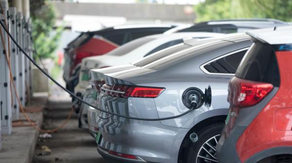 是誰毀了電車車主的假期？