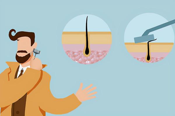 男人鬍子長得快，壽命短？刮鬍子頻率高說明了什麼？一文告訴你