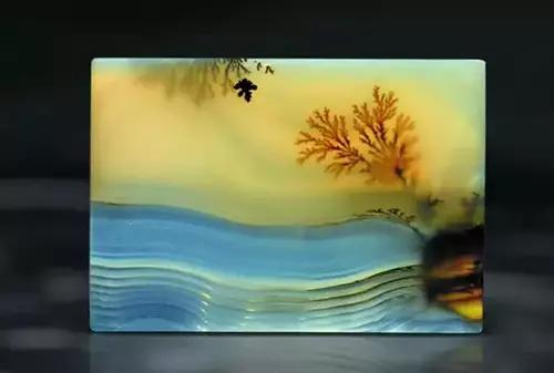 海底精靈（上）