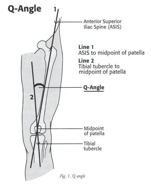 男女跑步訓練有差異嗎? 男女跑步訓練有差異嗎?