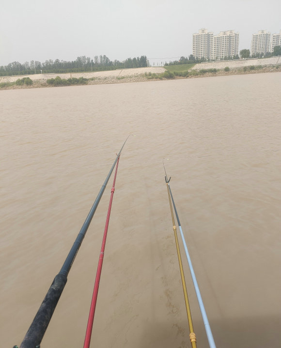 湖北男子釣回來了一條大魚，卻被全家人“嫌棄”，並要他把魚丟了