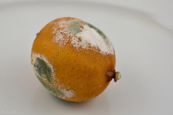 可怕,女子收玉米得肺炎,肺部長滿黴菌,注意家中這些位置易發黴 可怕,女子收玉米得肺炎,肺部長滿黴菌,注意家中這些位置易發黴