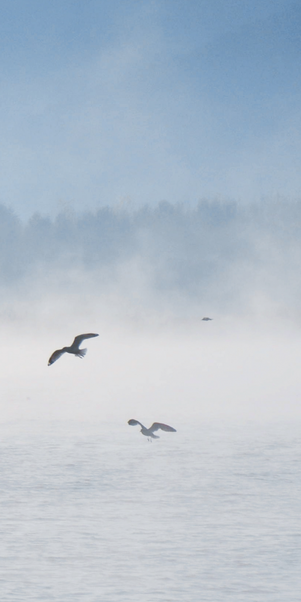 快來，瀘沽湖的冬日精靈，想和你交個朋友！