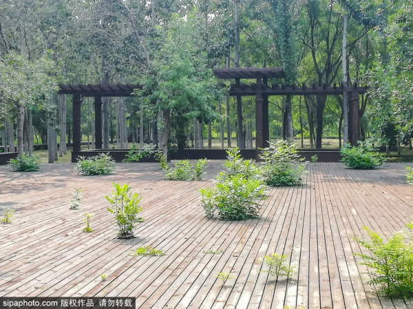 免門票！森林公園裡藏著個“小內蒙古”，還免費停車~