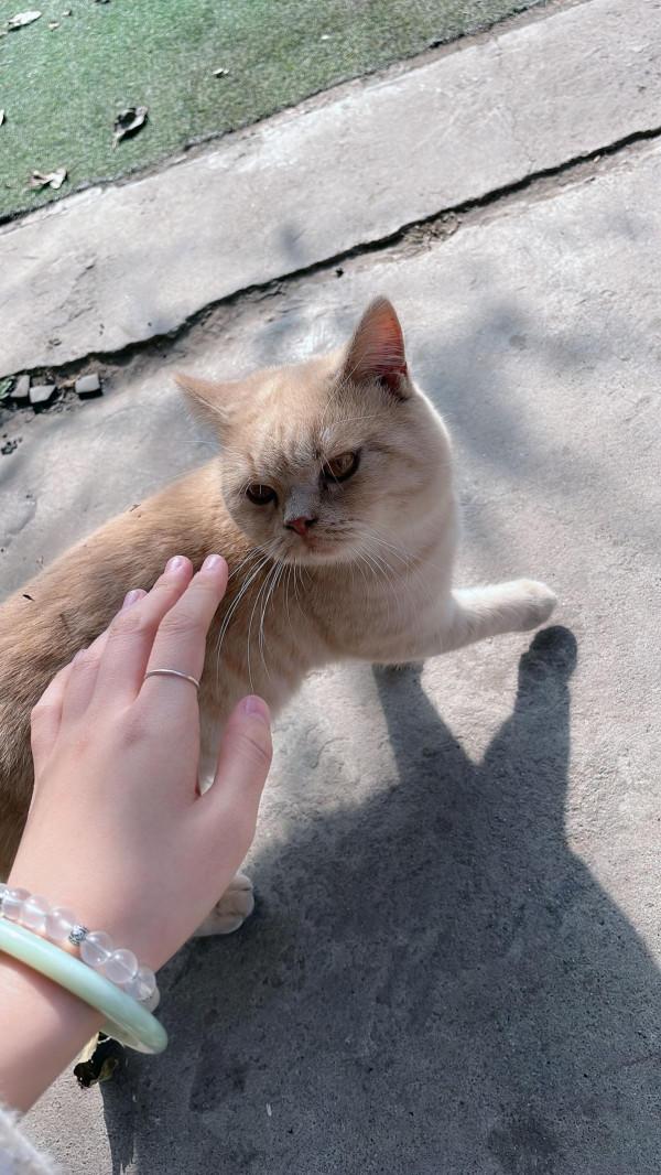 自從來到這，我把市裡的房子給賣了