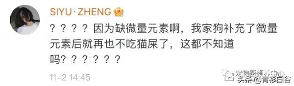 我家狗愛吃貓屎,貓知道後竟然特意到狗飯碗旁邊上廁所 我家狗愛吃貓屎,貓知道後竟然特意到狗飯碗旁邊上廁所