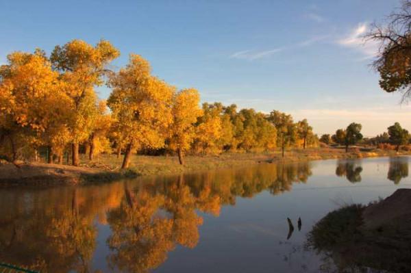 你想要來的新疆2022年是這樣的