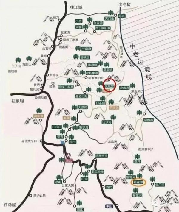 古茶高階品質的形成鳳凰窩(易武古茶樹) 古茶高階品質的形成鳳凰窩(易武古茶樹)