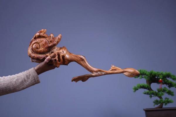 枯木一截，如降龍盤亙！這大自然，造化太神奇了