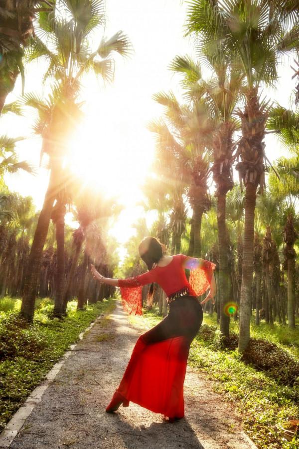 葵林風光好,流連不知返 葵林風光好,流連不知返