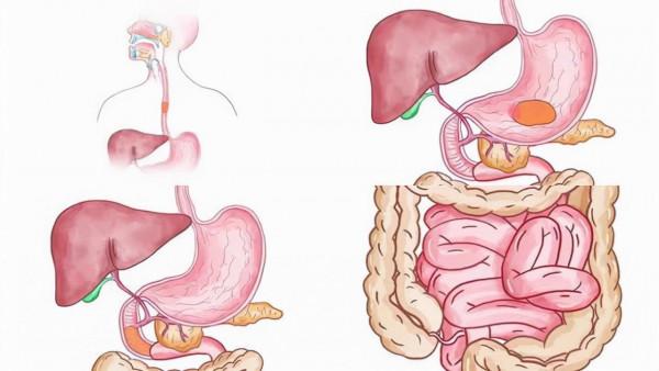 現在很多人每頓飯都吃得很飽 其實適當空腹一天也是有好處的 現在很多人每頓飯都吃得很飽 其實適當空腹一天也是有好處的
